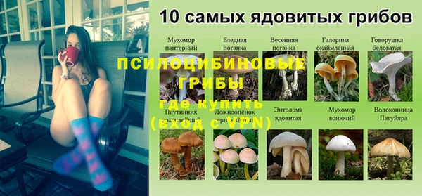крисы Богданович