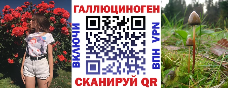 OMG ссылка  Певек  Псилоцибиновые грибы Magic Shrooms 